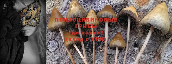 сатива Алексеевка