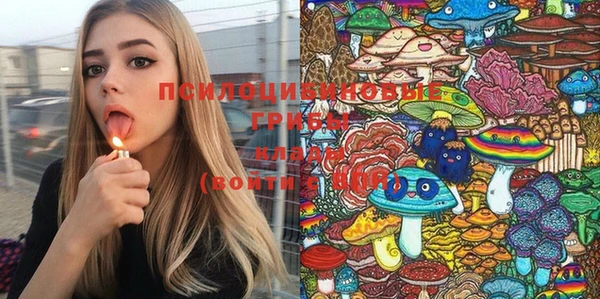сатива Алексеевка