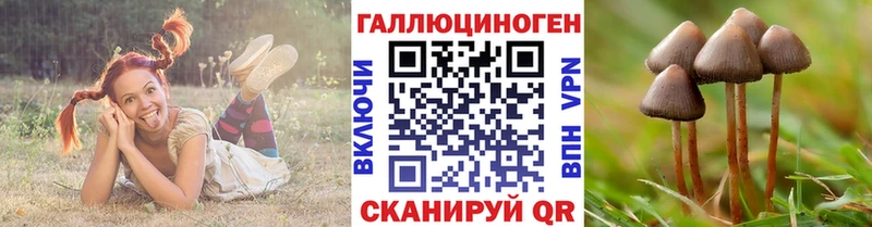 Галлюциногенные грибы Psilocybine cubensis  Зея 